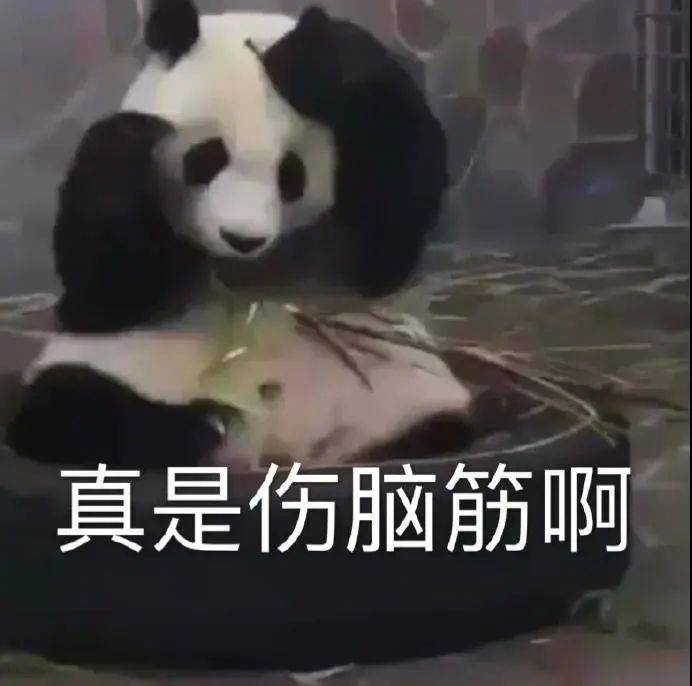 拿开你的脏手