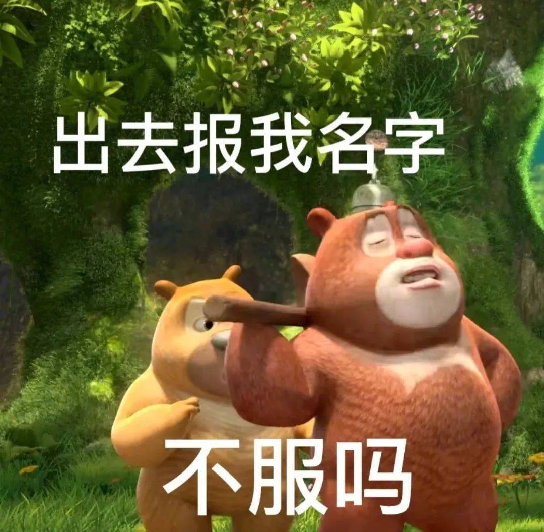 不服吗 出去报我名字表情包