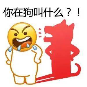俺给你写了小作文表情包