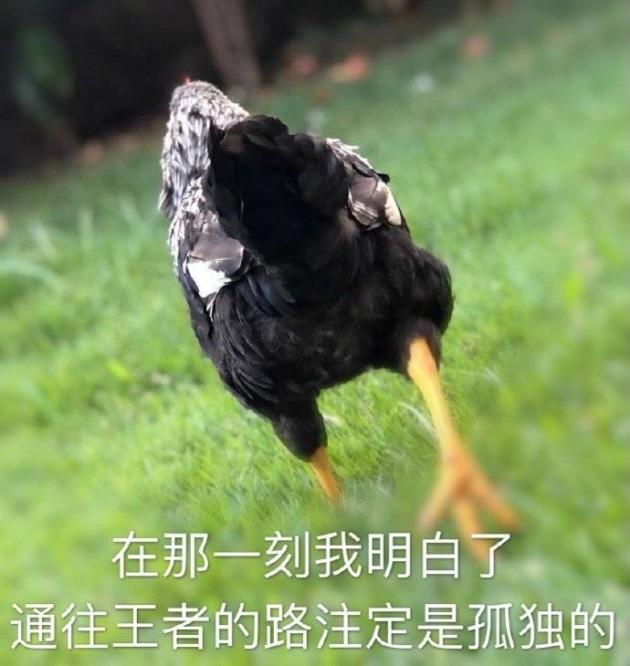 焦急喜悦等待快递表情包