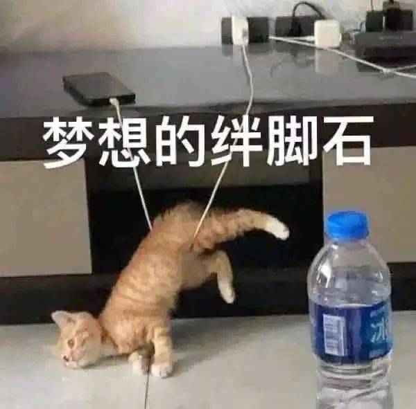 梦想的绊脚石表情包