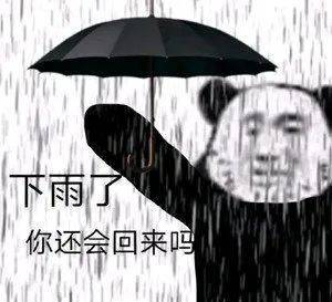 下雨了  你还会回来吗表情包