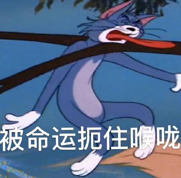 早安 孙子们表情包