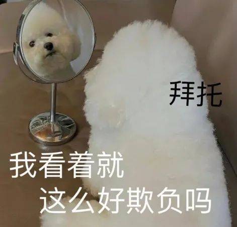 这都不磕 想什么呢表情包