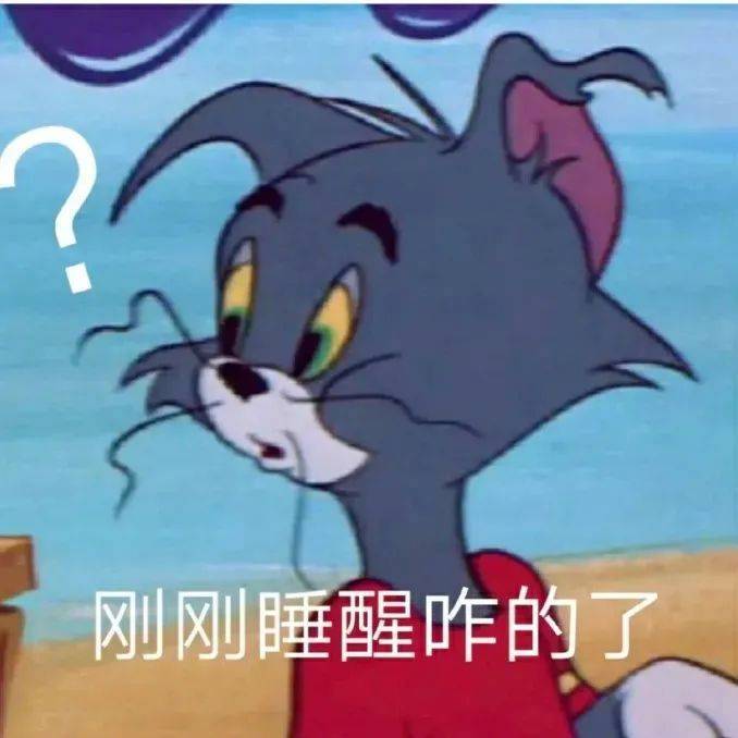 刚刚睡醒咋的了?表情包