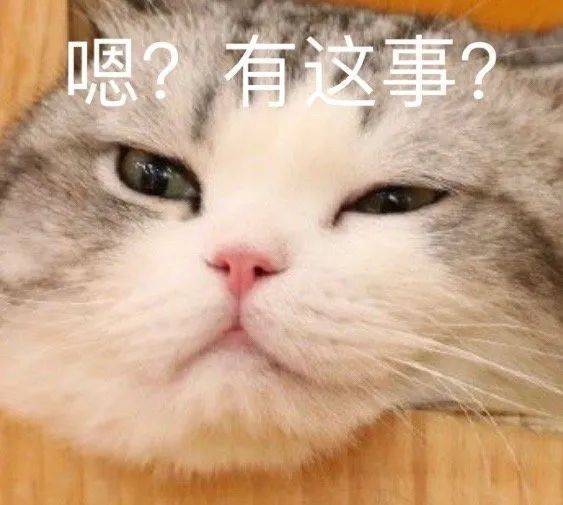 猪拱出来的字？表情包