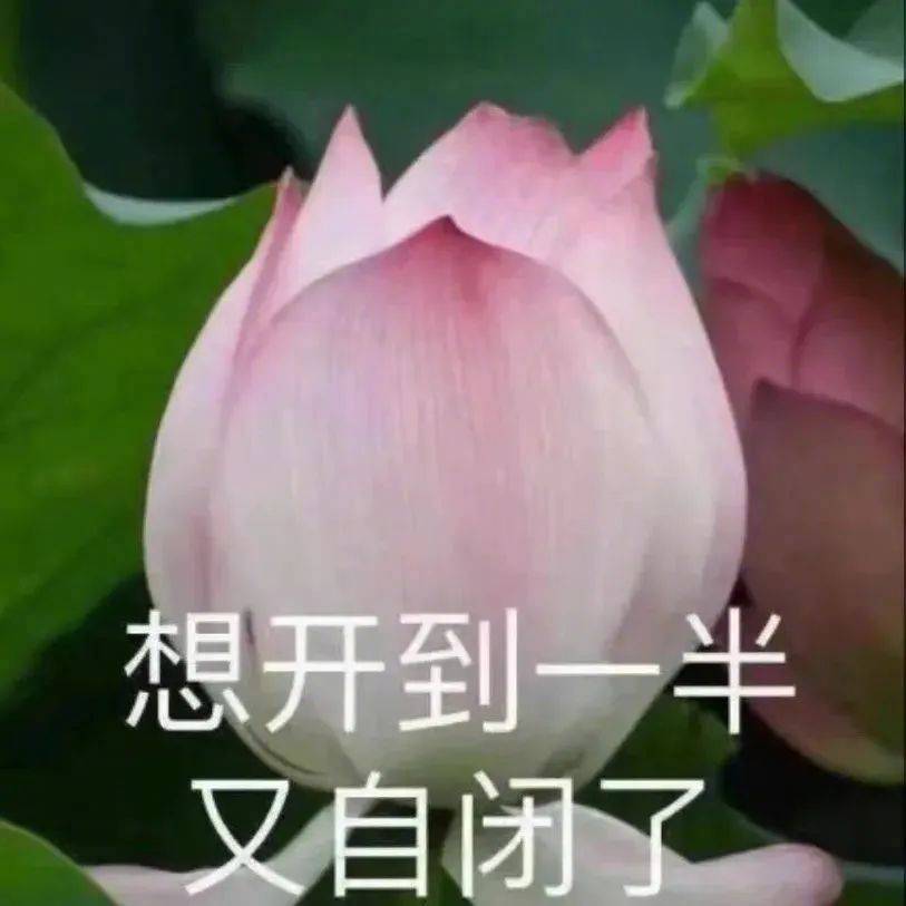 想开到一半 又自闭了表情包