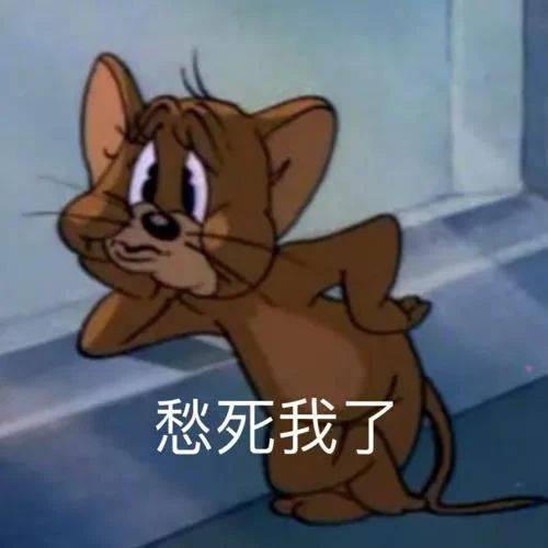 事情变的有趣了表情包