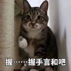 可以请我吃饭吗？