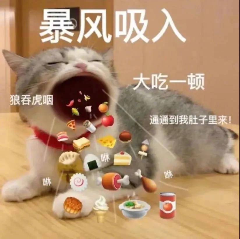 猪拱出来的字？表情包