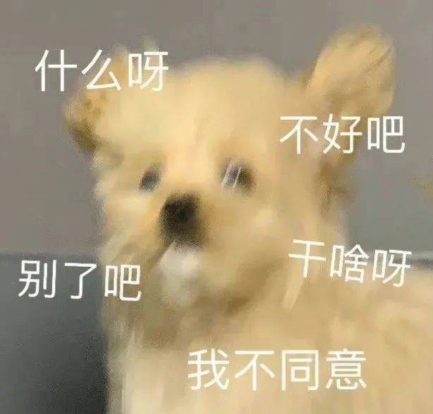 没回就是在打扫卫生表情包