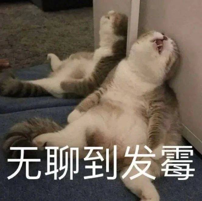 自首吧  我都看见了