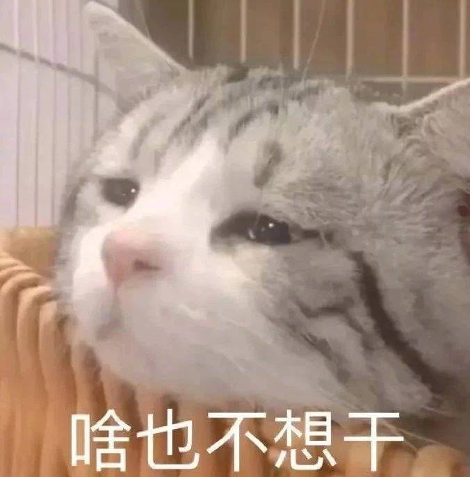 埋哪我都想好了