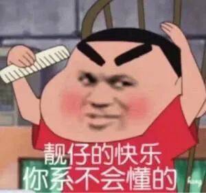 靓仔的快乐  你系不会懂的表情包