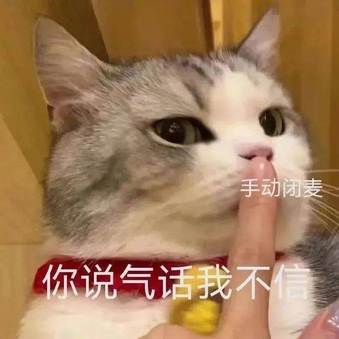 睡一觉要紧