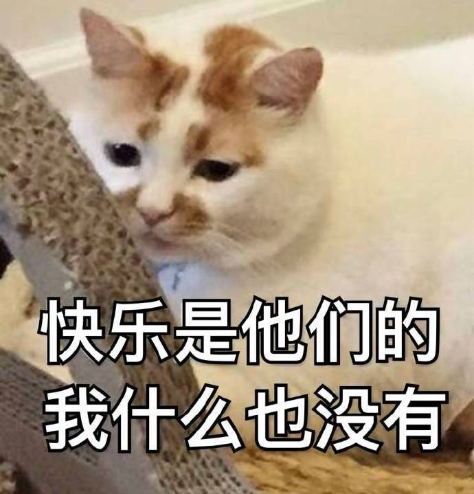 快乐是他们的  我什么也没有表情包