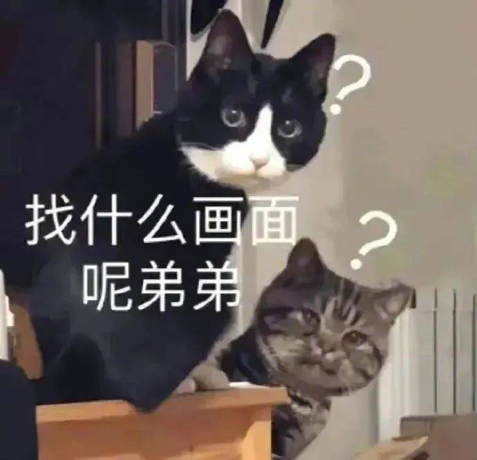你断网了表情包