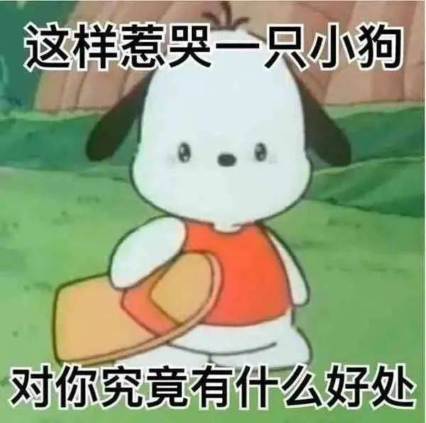 聊天开始表情包