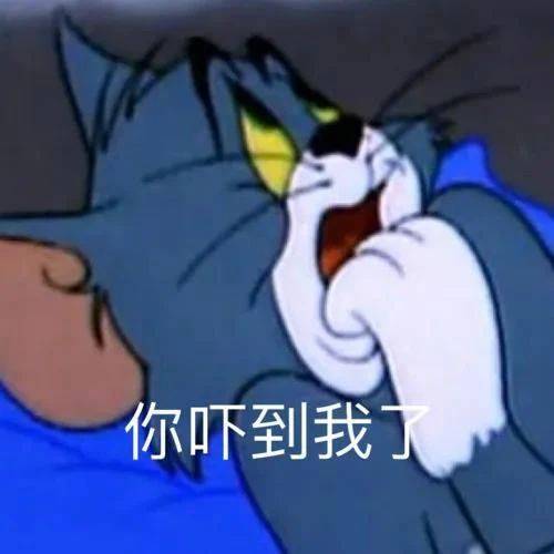 事情变的有趣了表情包