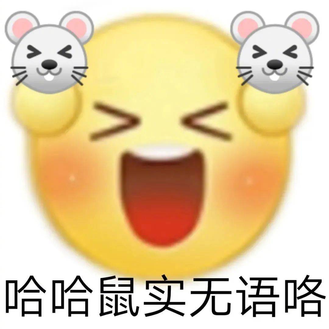 哈哈鼠实无语咯表情包