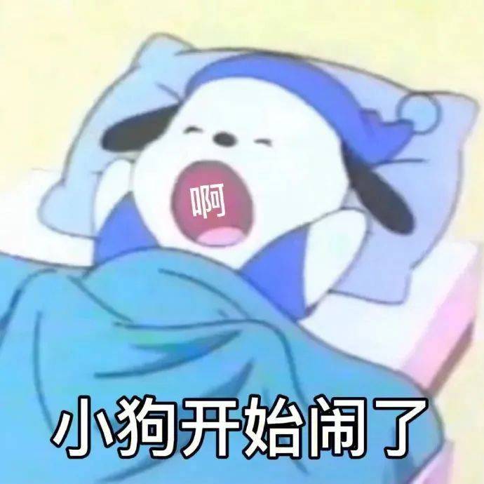 啊 小狗开始闹了