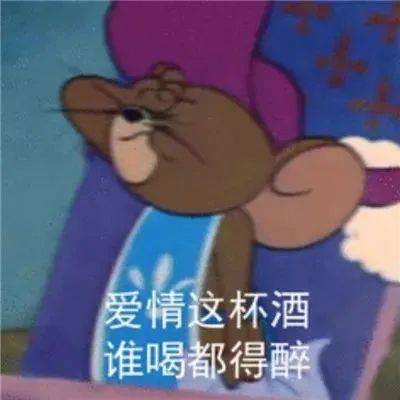 不会相信你的鬼话