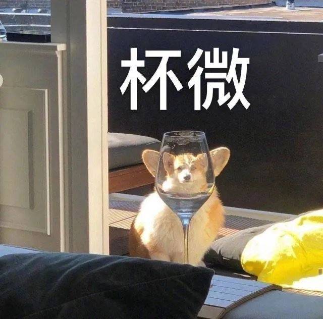 咬死你这个臭猪猪