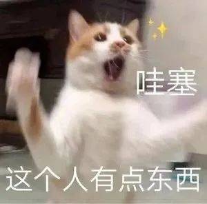思考人生……表情包
