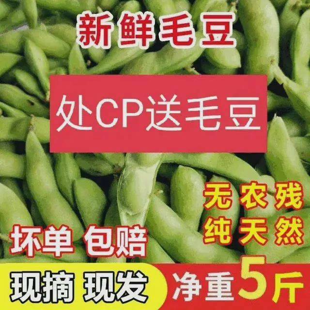 小姐姐处cp吗？