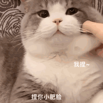 你的宝贝突然出现