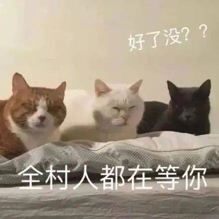 这谁顶得住啊表情包