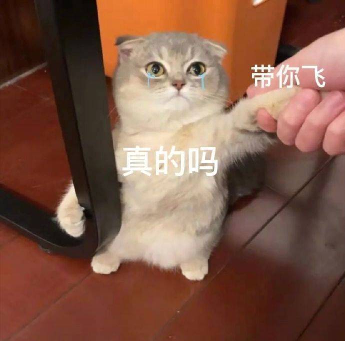 我们  回不去了表情包