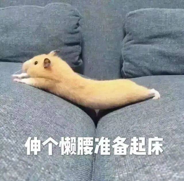 伸个懒腰准备起床