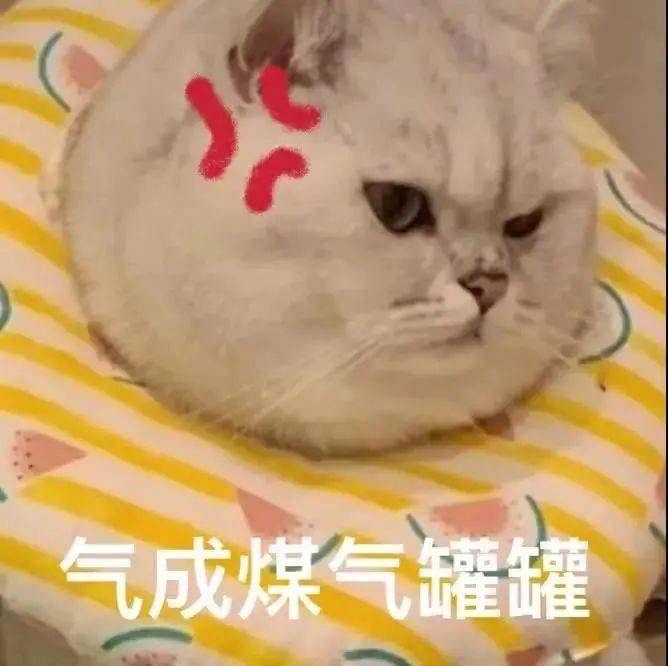 我看看谁还没睡觉表情包