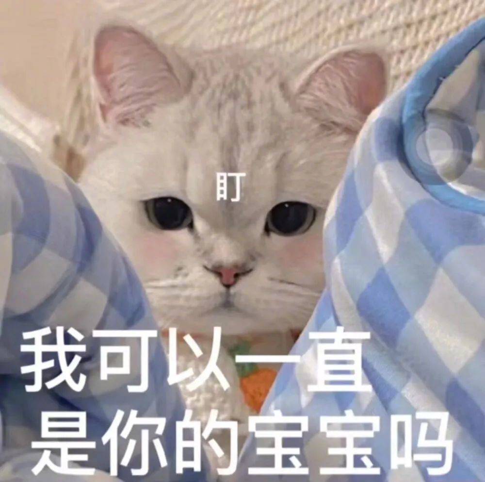 可爱表情包：我可以一直是你的宝宝吗？