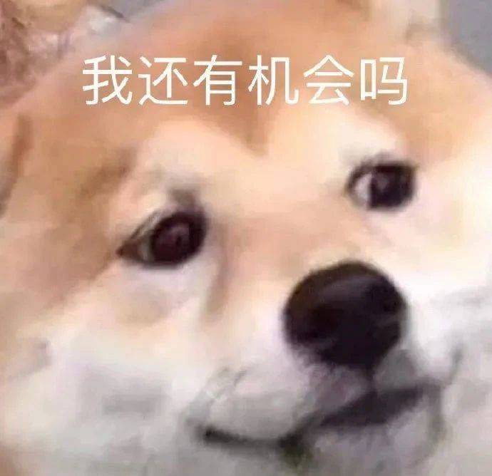 终究还是错付了