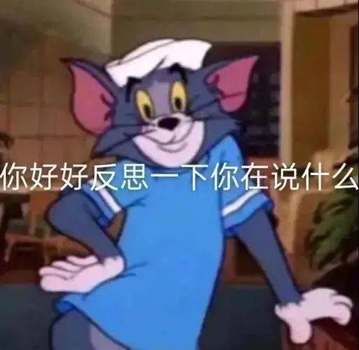 你好好反思一下你在说什么表情包