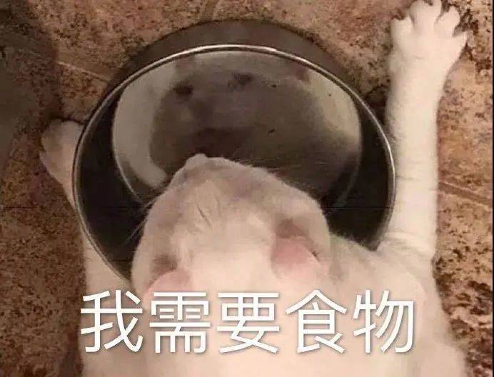 假装没在听