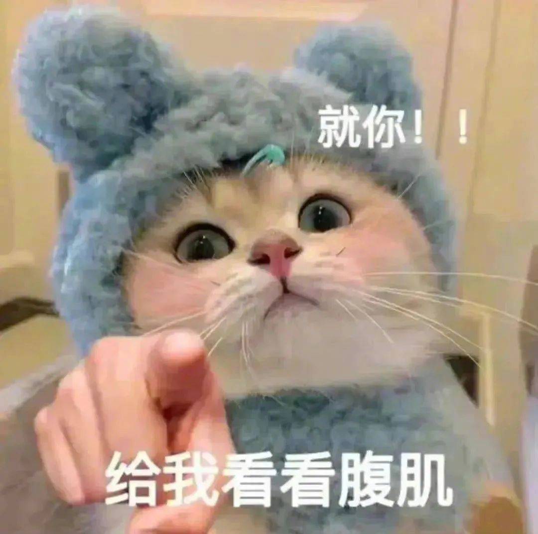 咬死你这个臭猪猪表情包