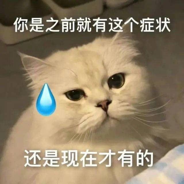 哈哈哈 别逗我了表情包