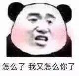 怎么了  我又怎么你了表情包