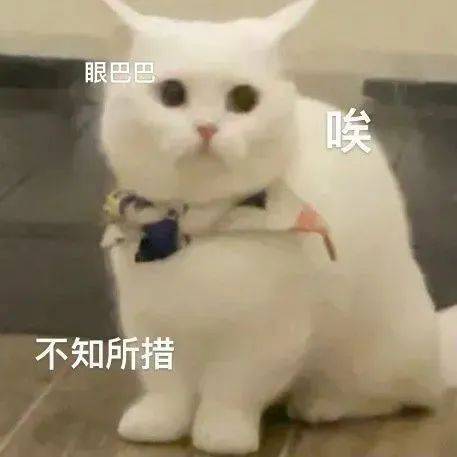今天说啥也要干你