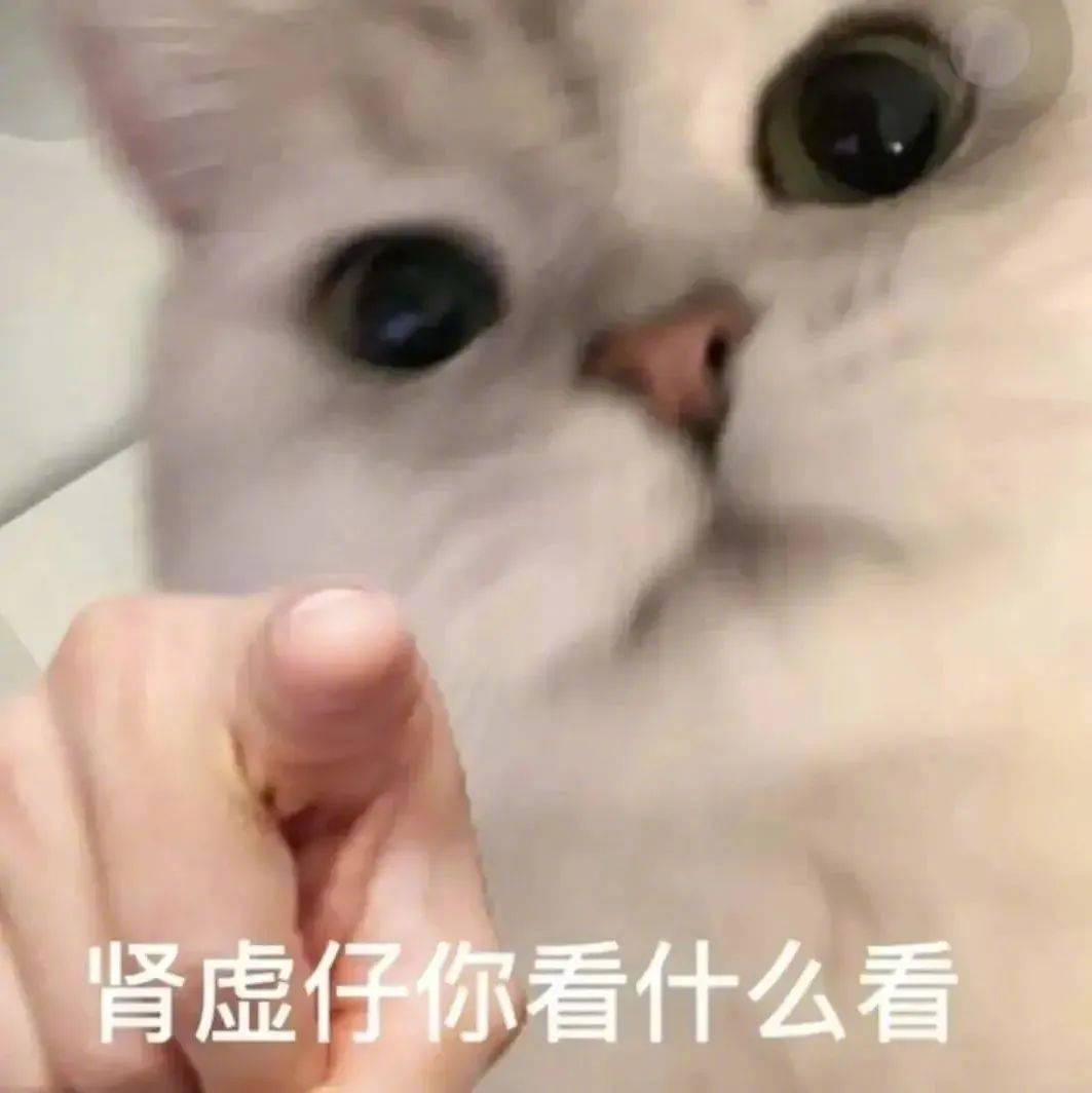 肾虚仔你看什么看