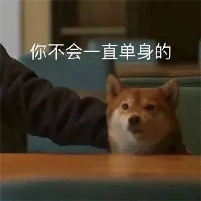 不要这个样子