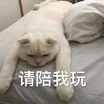 来，哥给你梳头