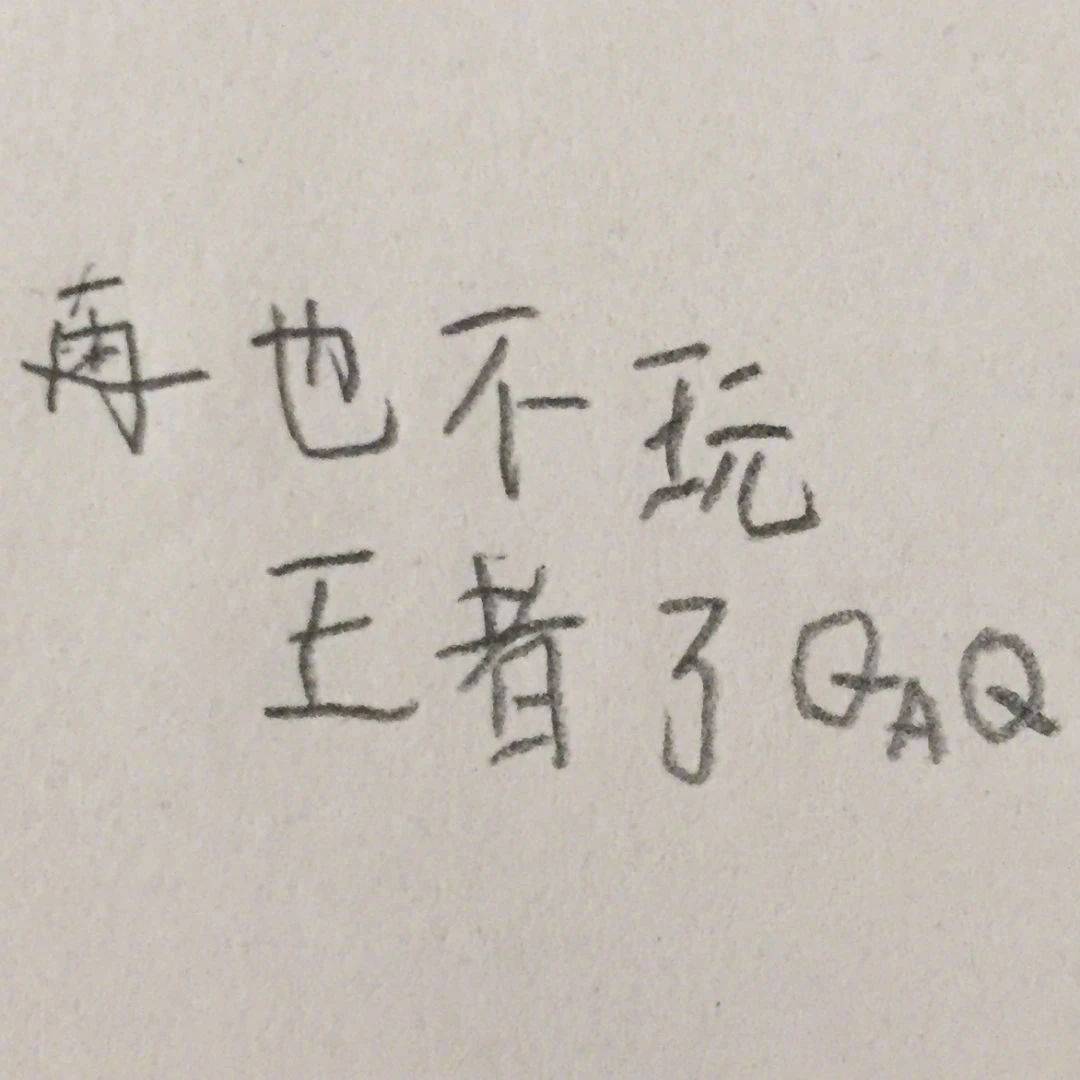 小学生手写表情包：再也不玩王者了QAQ表情包