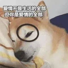 大佬说话 不敢插嘴