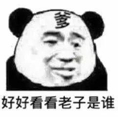 好好看看老子是谁表情包