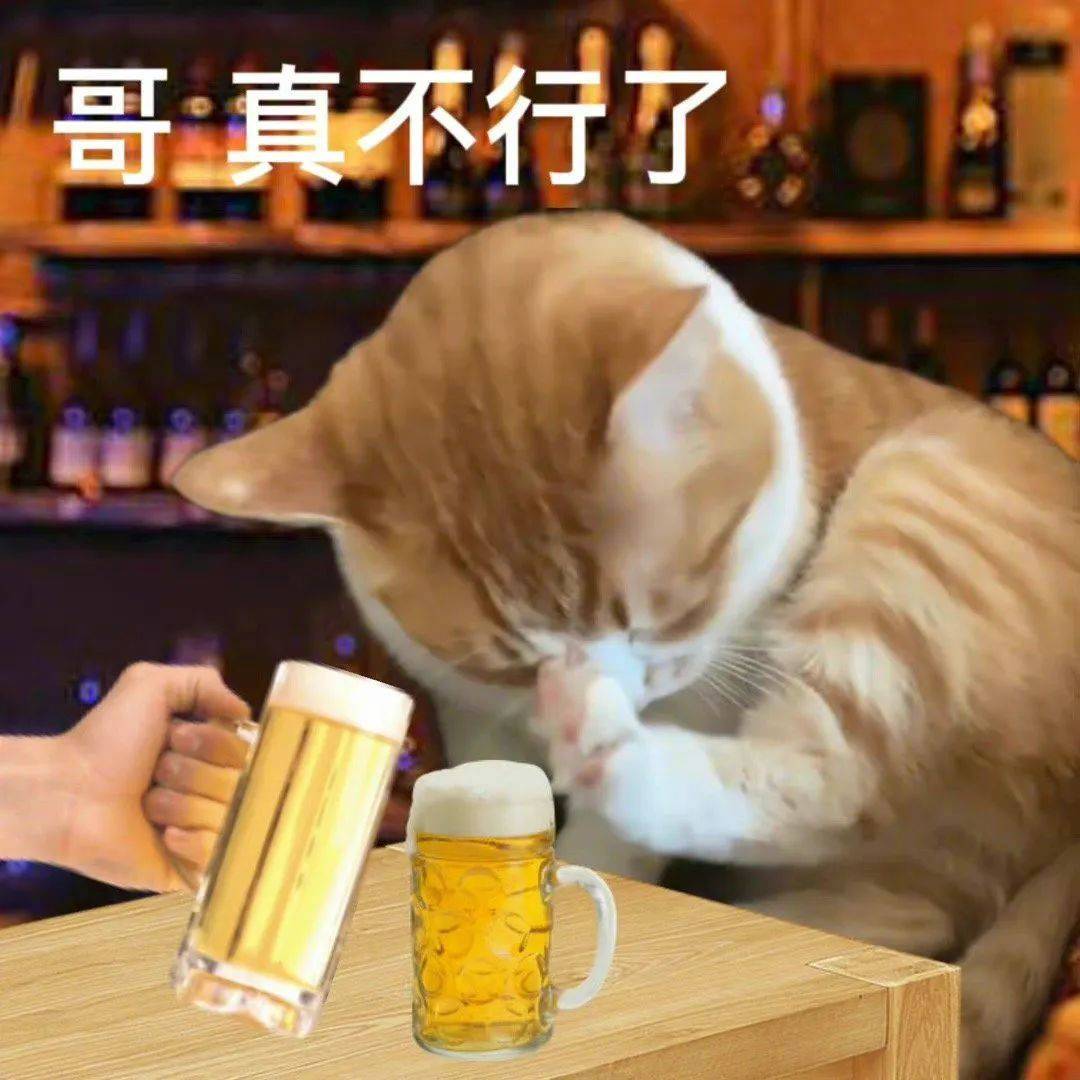 对生活努力的小猫咪表情包