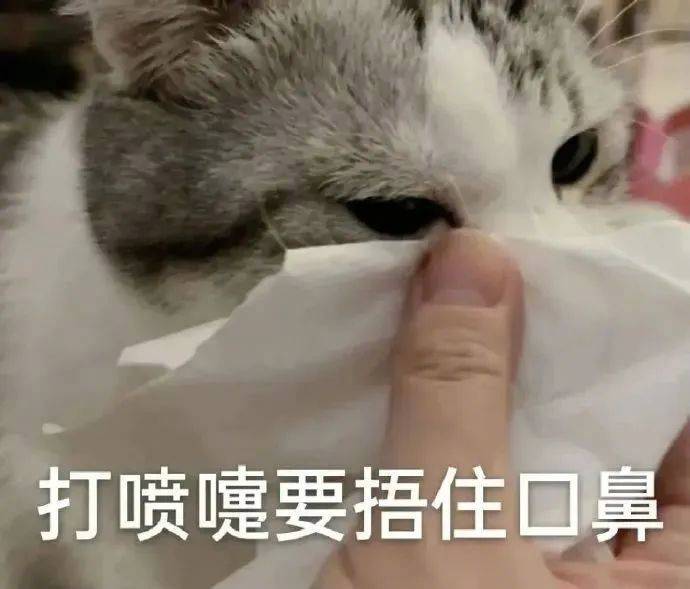 你听见了嘛？表情包